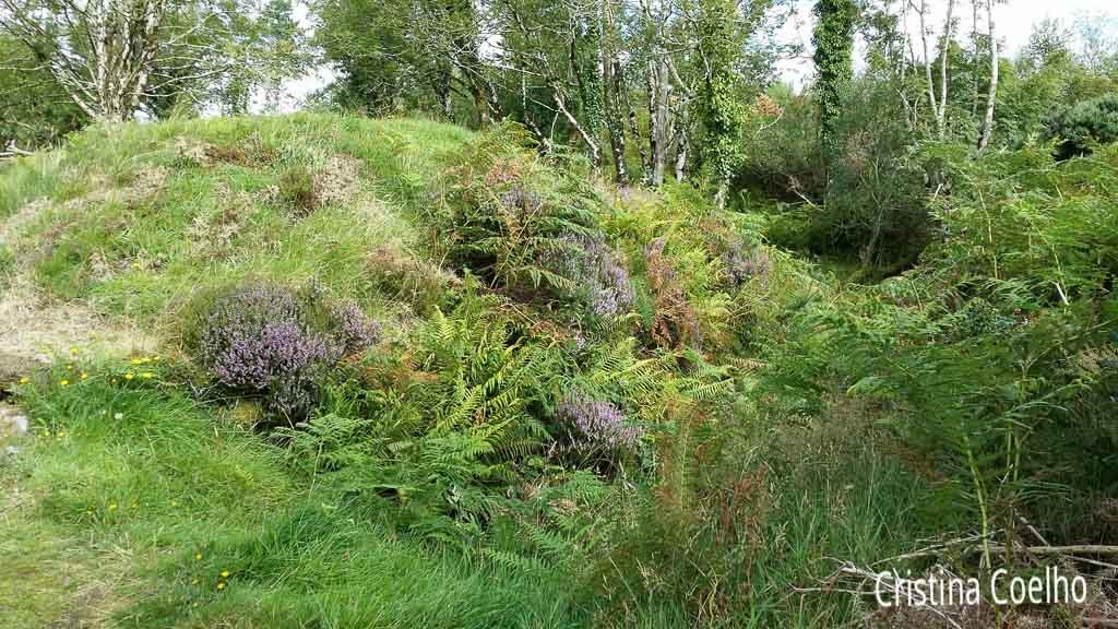 Bonane, Bonane Heritage Park IR, Irlanda, Kerry, Monumentos, Monumentos Idade do Bronze, Neolitico, Parques