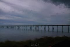 Whitehead