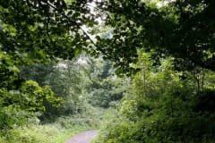 Subindo para Cave Hill