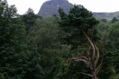 Parque Cave Hill
