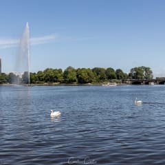 Binnenalster ou Inner Alster