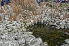 Promenores diversos da Calçada dos Gigantes
