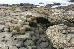 Promenores diversos da Calçada dos Gigantes