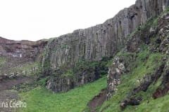 Formações rochosas nas falésias envolventes de Causeway identicas ás encontradas na Rocha dos Bordões na Ilha das Flores - Açores