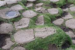 Uma verdadeira calçada dos Gigantes