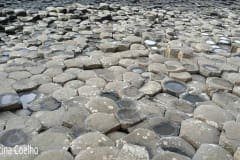 Promenores diversos da Calçada dos Gigantes