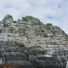 Milhares de aves marinhas são os habitantes da Litle Skellig.
