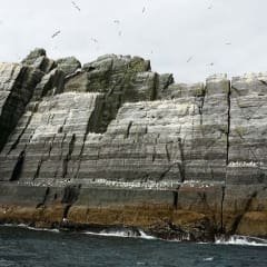 Albatroz, painho-de-cauda-quadrada, fulmar, guincho comum, gaivota prateada, gaivota-de-asa-escura, alcatraz-comum ou gaivotão-real, bobo-pequeno, estapagado ou pardela-sombria, corvo-marinho, andorinha-do-mar comum, são algumas das aves marinhas que vivem aqui.