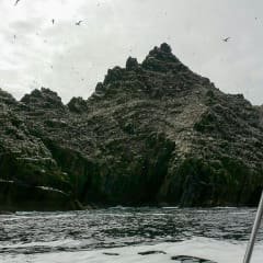 Um último adeus ás Skellig