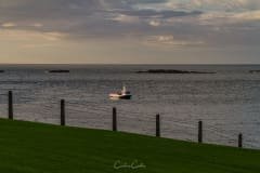 Portrush -Arcadia