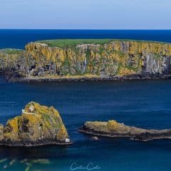 Carrick-a-rede ponte de corda
