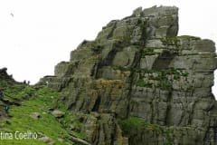 Penhasco onde nidificam algumas aves como por exemplo os puffins ou papagaios do mar -Skellig Michael
