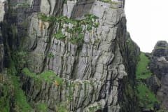 Penhasco de nidificação - Skellig Michael