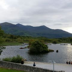 Ring of Kerry - Regresso ao Parque Natural de Killarney. Ross Bay