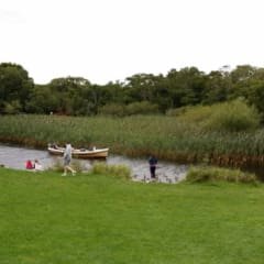 Ring of Kerry - Parque Nacional de Killarney, Ross Island
