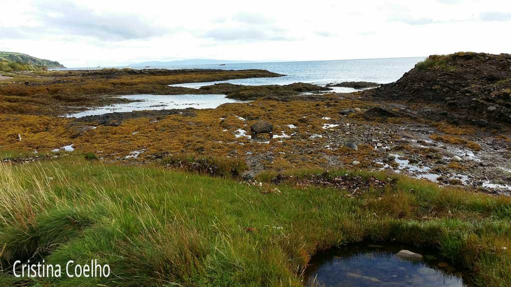 Percorrendo a costa da Irlanda do Norte